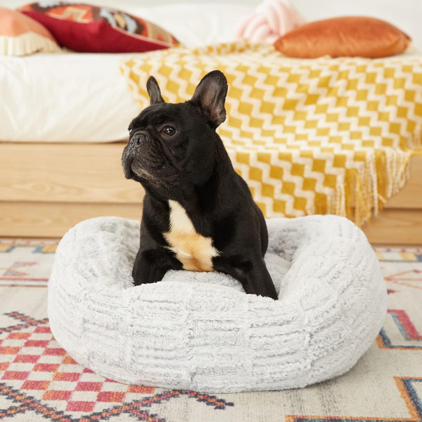 Dog Beds Donut Bed, for Small Medium Large Dogs & Cats with Orthopedic Memory Foam, Fluffy and Chic Washable Bed Multiple Sizes (23'')