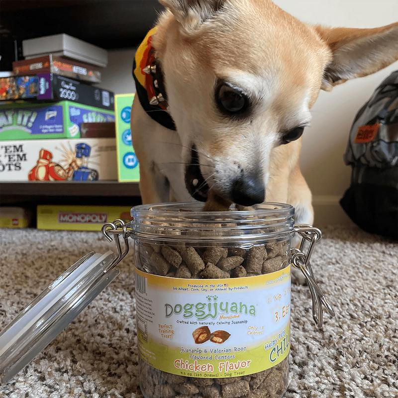 Irresistible Crunchy Chicken Bites with Catnip – Juananip Chill Dog Treats