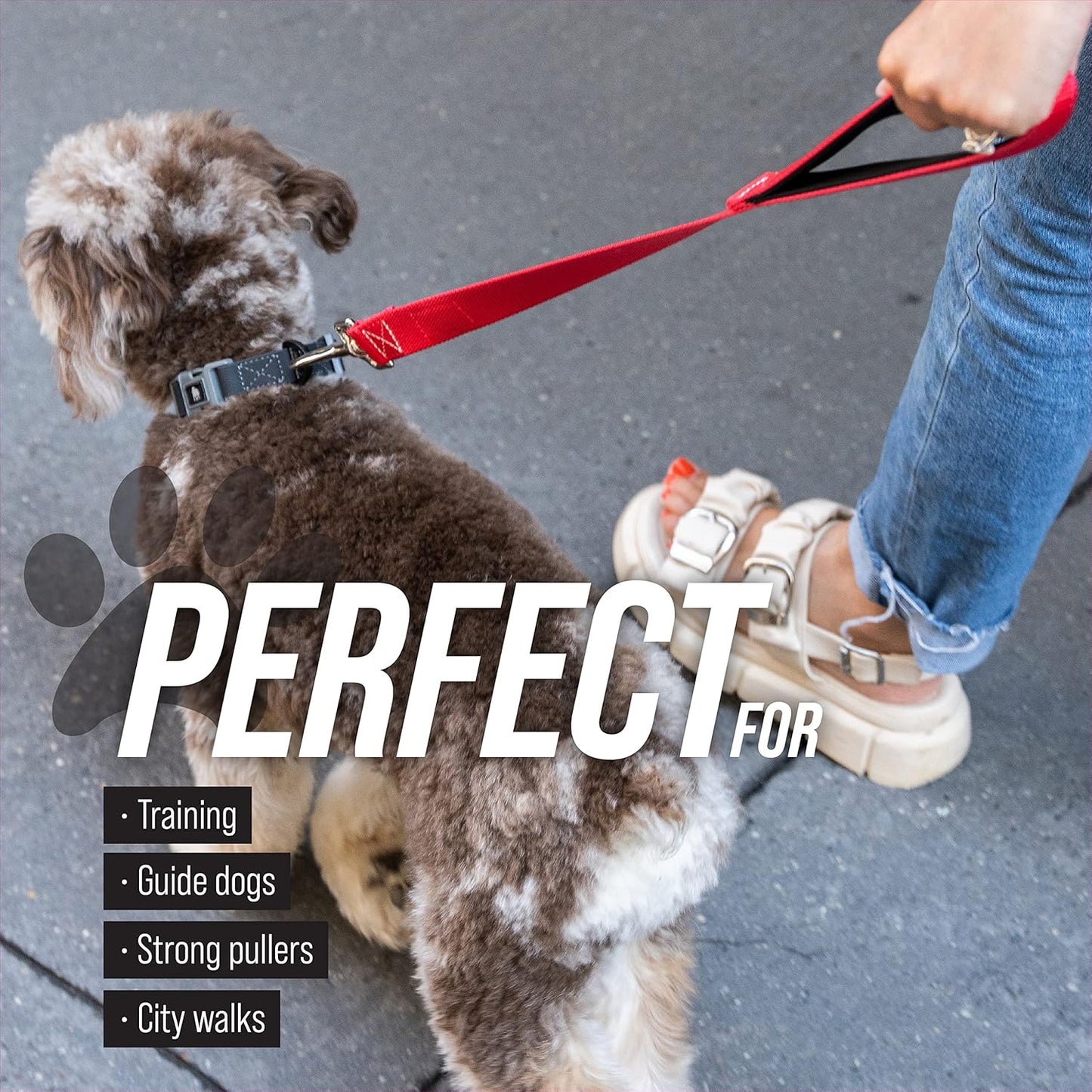 Short Dog Leash with Padded Handle - 12, 18, and 24 Inch Leads for Large Dogs - 1 Inch Nylon (12 In, Black/Red/Gray)