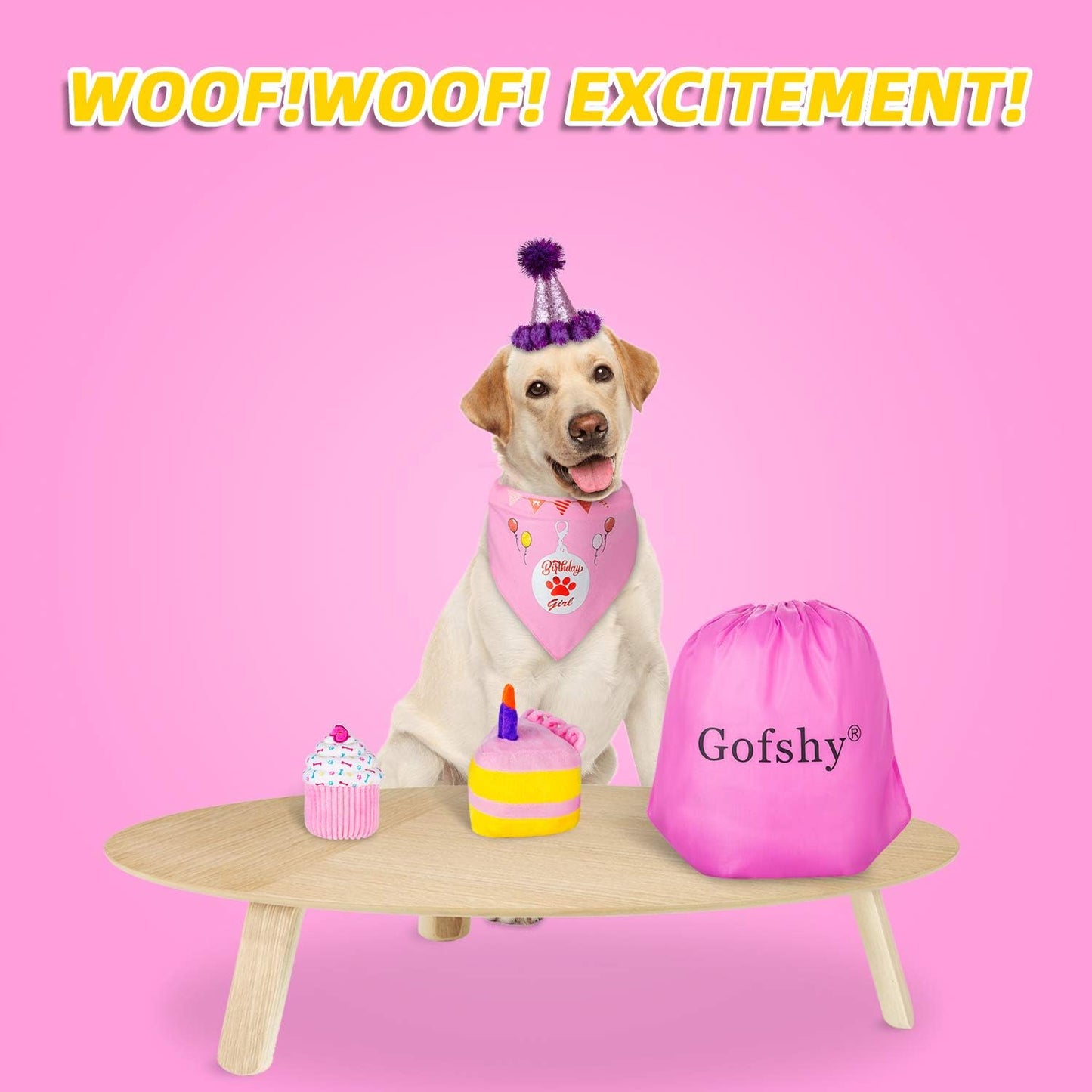 Dog Birthday Cake, Dog Birthday Party Supplies, 2PCS Squeaky Dog Toys, Puppy Birthday, Dog Gift Box with Birthday Bandana, Birthday Hat, Cute Dog Toys Large