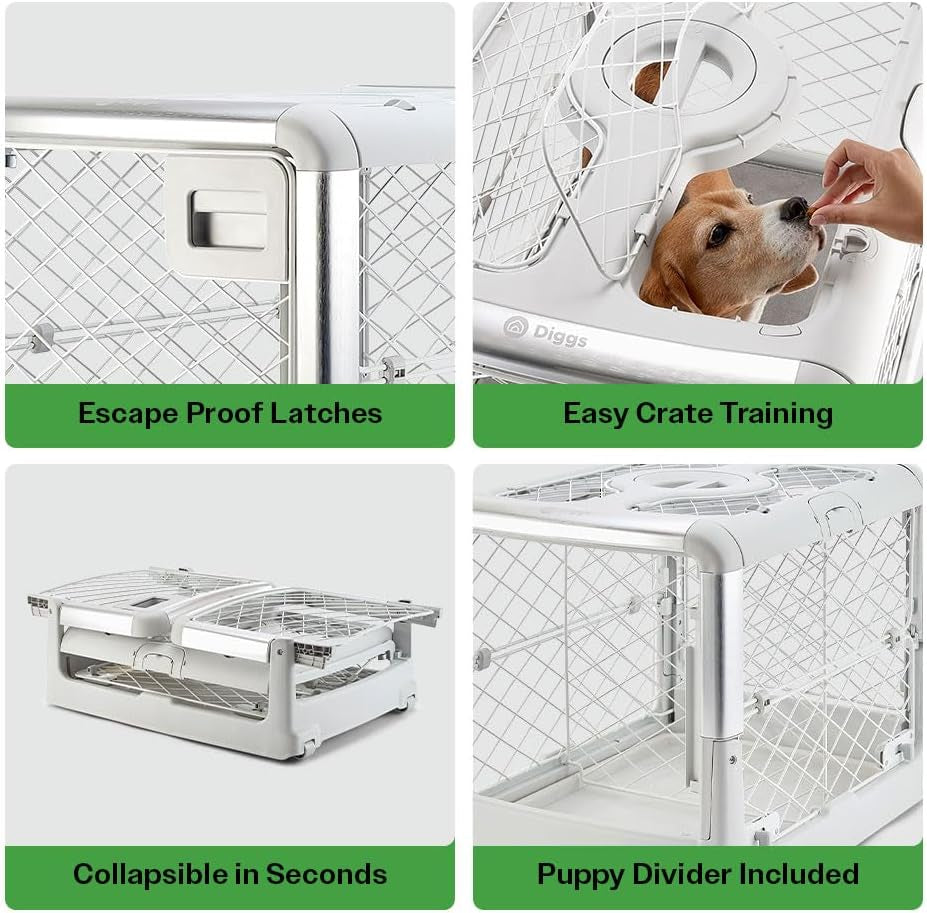 Revol Collapsible Dog Crate with Wheels - Premium Portable Dog Crate - Safe, Stylish, and Convenient Indoor Kennel (Ash, Medium)