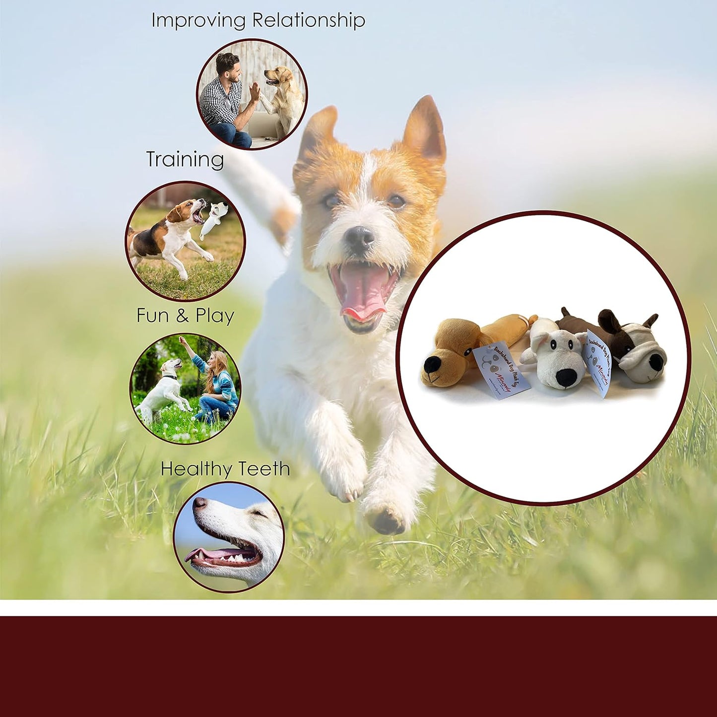 Plush Dog Toys,Squeaky Dog Toys for Small and Medium Dogs,Cute Plushies for Dogs,Durable Dog Chew Toys,Interactive Dog Stuffed Animal,Puppy Teething Chew Toys,Puppy Sleeping Buddies,White/Brown