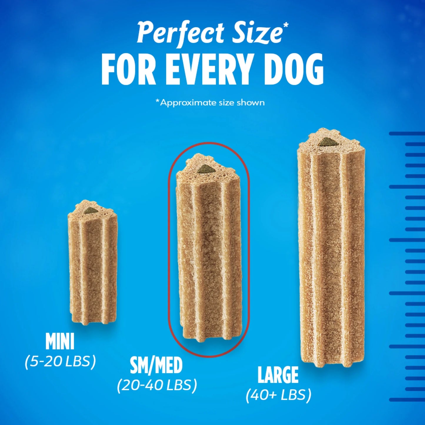 Purina Activfresh Small & Medium Dog Treats with Chicken Chews, 30 Count Pouches (3 Pack)