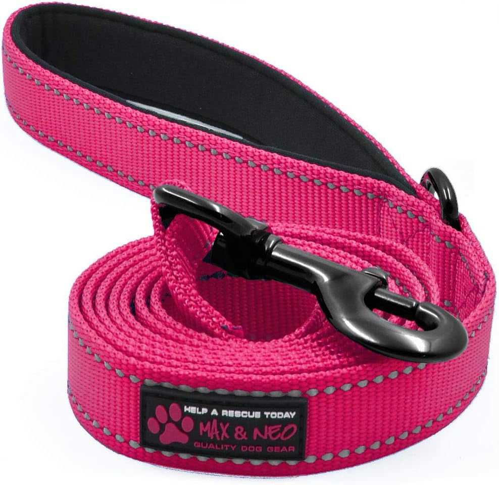 Reflective Nylon Dog Leash - We Donate a Leash to a Dog Rescue for Every One Sold (Pink, 6Ft)