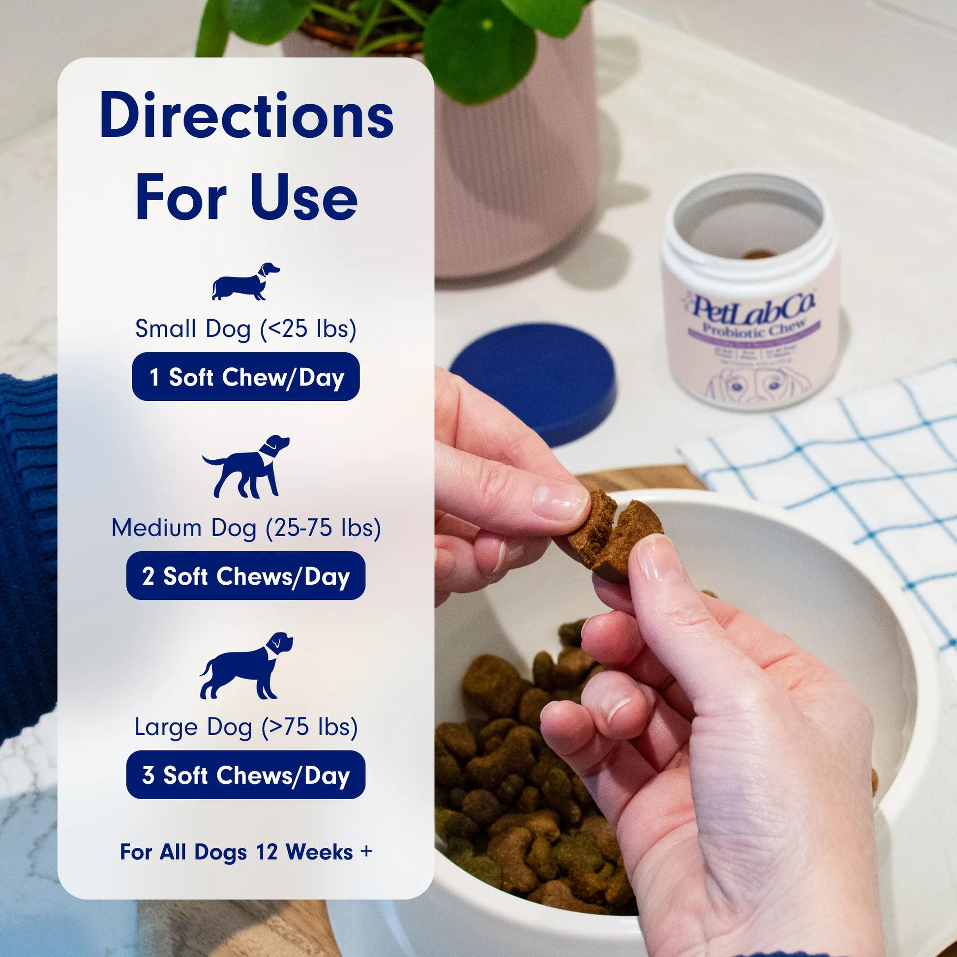 Co. Probiotic Chews, Delicious Soft Chew Probiotics for Dogs, 30 Ct.