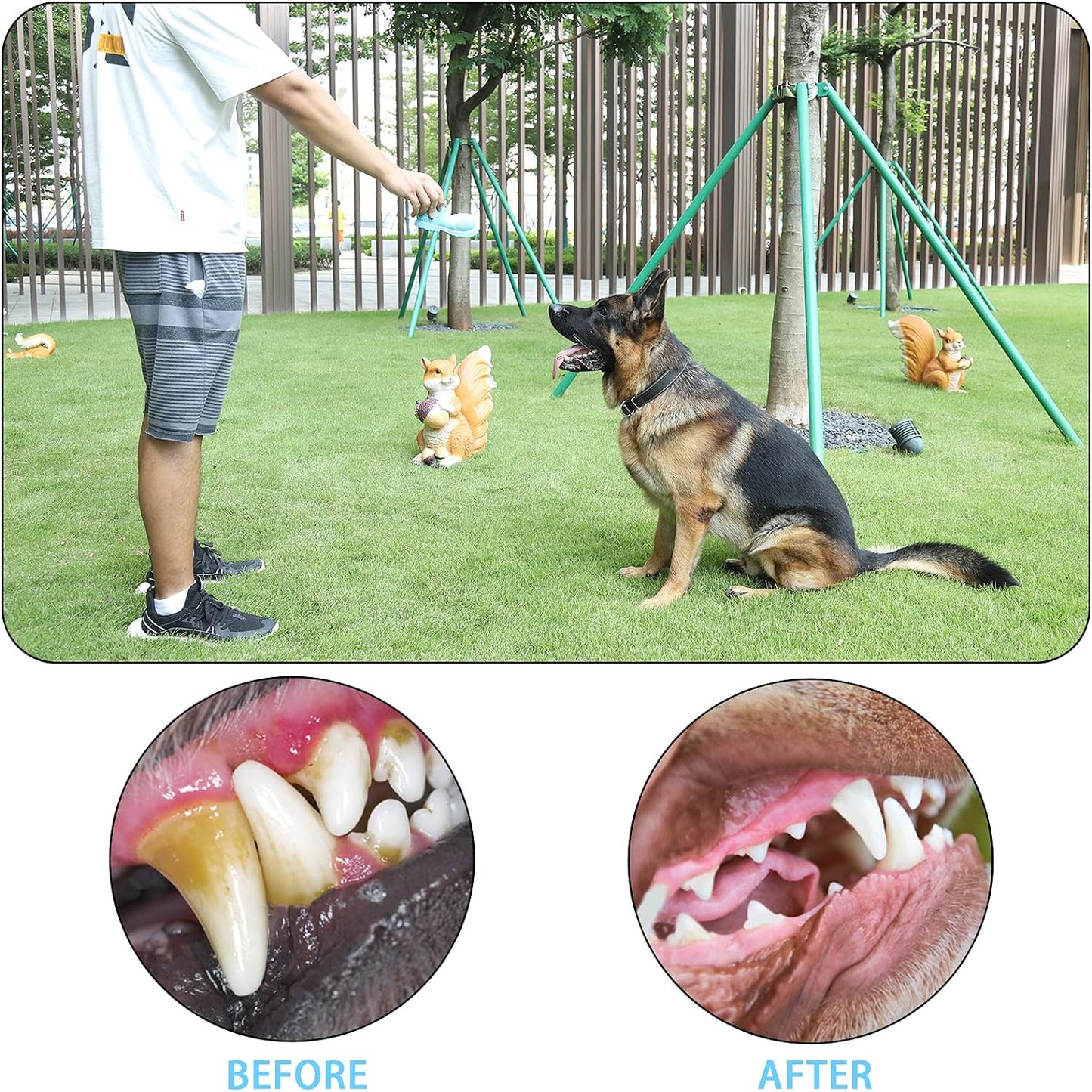 Dog Chew Toys - Squeaky, Tough & Tear-Resistant, Reduces Plaque & Tartar, Shoe Shape for Small & Medium Dogs (Blue)