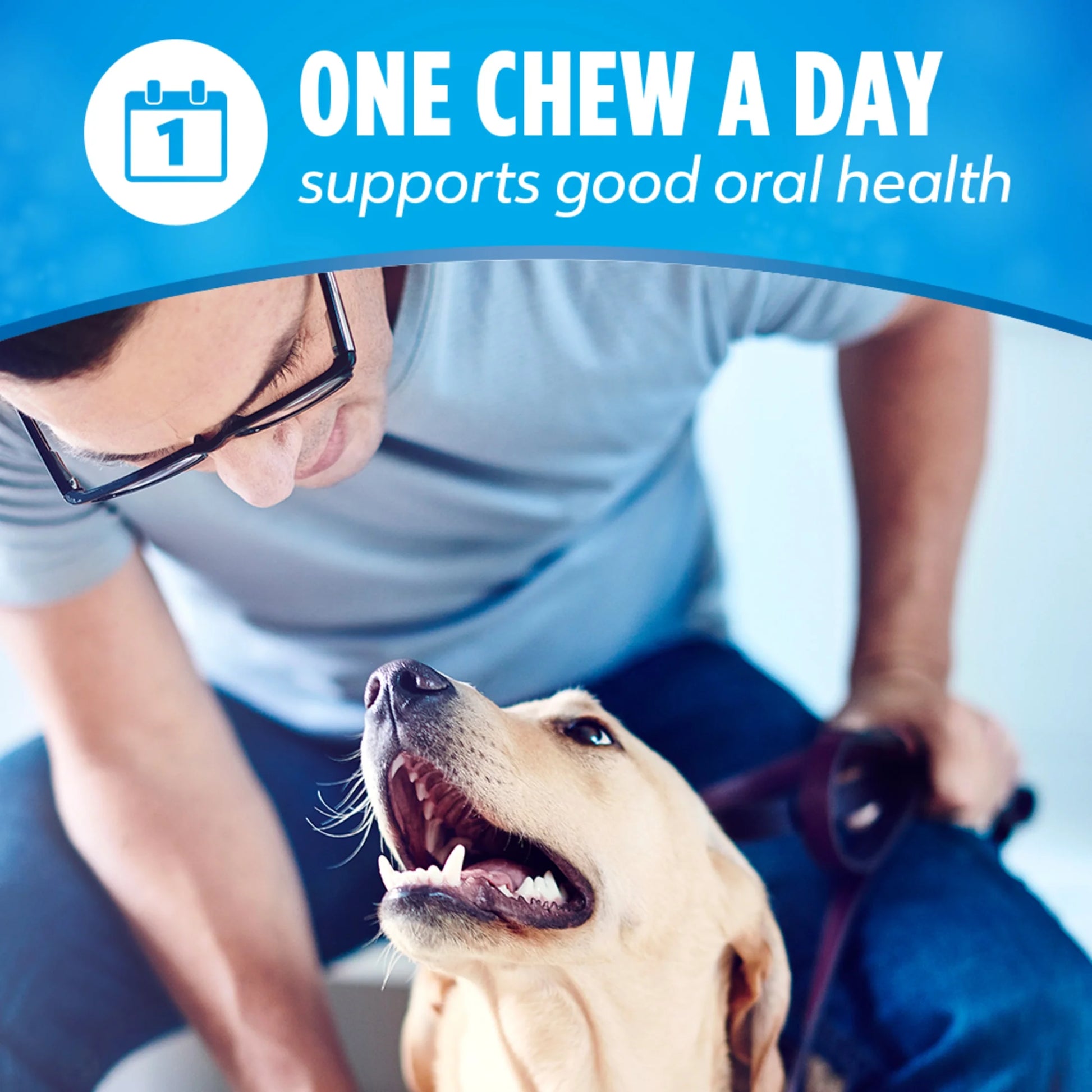 Purina  Daily Oral Care Chicken Flavor Small/Medium Breed Dog Dental Chews – 28.5 Oz Pouch (40Ct)