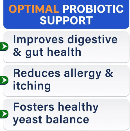 Probiotics for Dogs & Digestive Enzymes (Gut Health) Allergy & Itchy Skin - Pet Diarrhea Gas Treatment Upset Stomach Relief Pill, Digestion Health Prebiotic Supplement (120 Count, Bacon)
