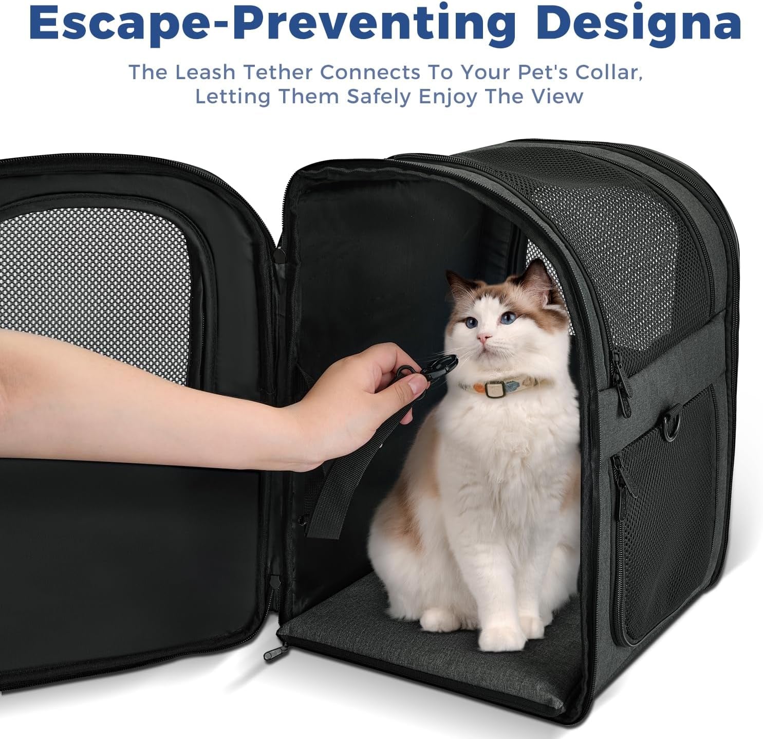 Dog & Cat Carrier Backpack for Medium/Small Pets - Ventilated Safe Design with Padded Back Support, Breathable Mesh Pet Backpack for Hiking, Travel, Outdoor (Black)