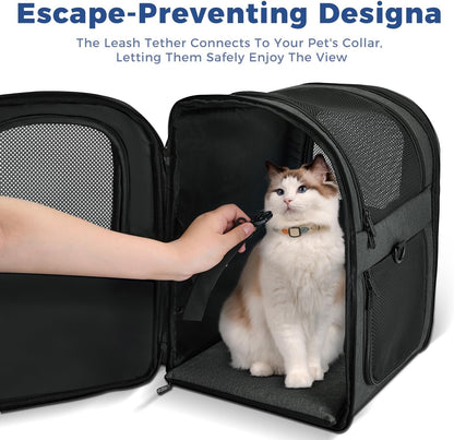 Dog & Cat Carrier Backpack for Medium/Small Pets - Ventilated Safe Design with Padded Back Support, Breathable Mesh Pet Backpack for Hiking, Travel, Outdoor (Black)