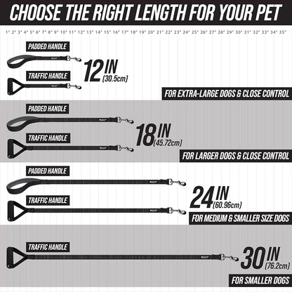 Short Dog Leash with Padded Handle - 12, 18, and 24 Inch Leads for Large Dogs - 1 Inch Nylon (12 In, Black/Red/Gray)