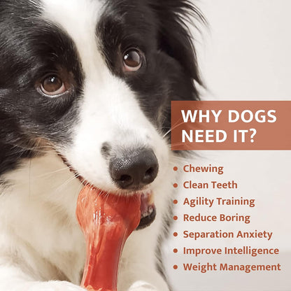Tough Dog Toys Aggressive Chew Toys for Medium Large Dogs, Durable Dog Bones for Aggressive Chewers, Nylon Dog Teething Cleaning Toys Interactive Dog Toys Puppy Chewers Dogs