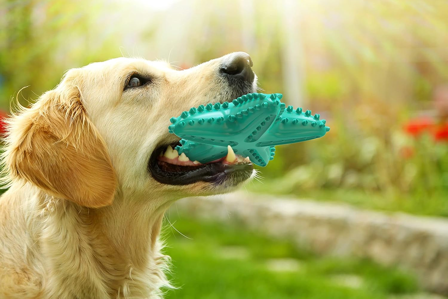 Dog Toys for Aggressive Chewers, Dog Teething Cleaning Toothbrush Toy, Durable Squeaky Interactive Starfish Puppy Toys for Small Medium Large Breed