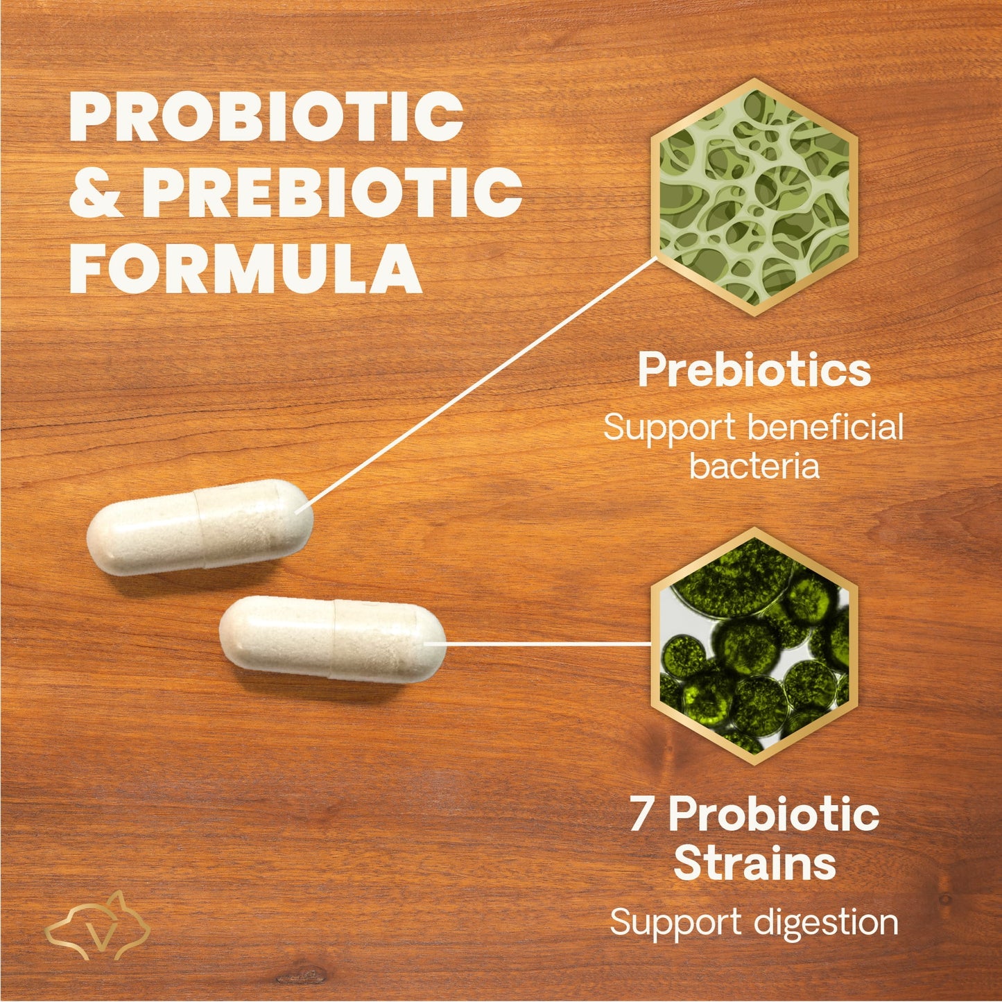 Gut Health Extra Strength Probiotic Capsules for Dog & Cat, Unflavored 120 Count Bottle