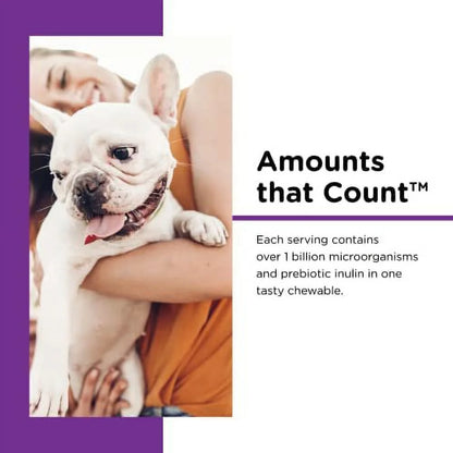 Pre and Probiotic Soft Chews for Dogs Digestive Health Support Dog Probiotics Tasty Alternative to Dog Probiotic Powder 120 Soft Chews Liver, Cheese