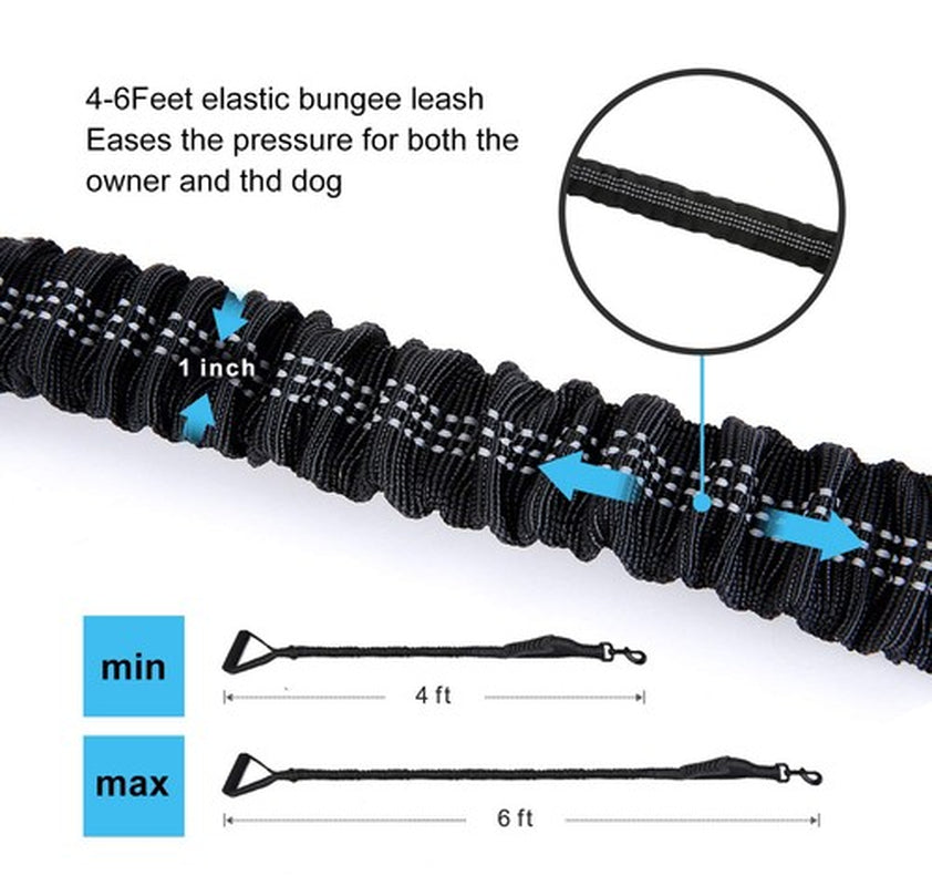 6FT Highly Reflective Heavy Duty Elastic Bungee Medium and Large Dog Leash Sh...