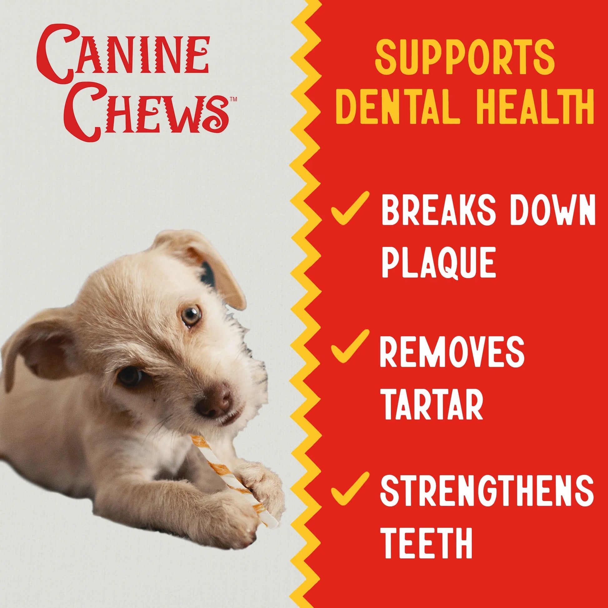 5" Chicken-Wrapped Rawhide Twist Stick Chews for Dogs (18.75 Oz) | All-Natural Long-Lasting Dental Treats for Small Dogs (125 Pack)