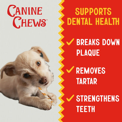 5" Chicken-Wrapped Rawhide Twist Stick Chews for Dogs (18.75 Oz) | All-Natural Long-Lasting Dental Treats for Small Dogs (125 Pack)