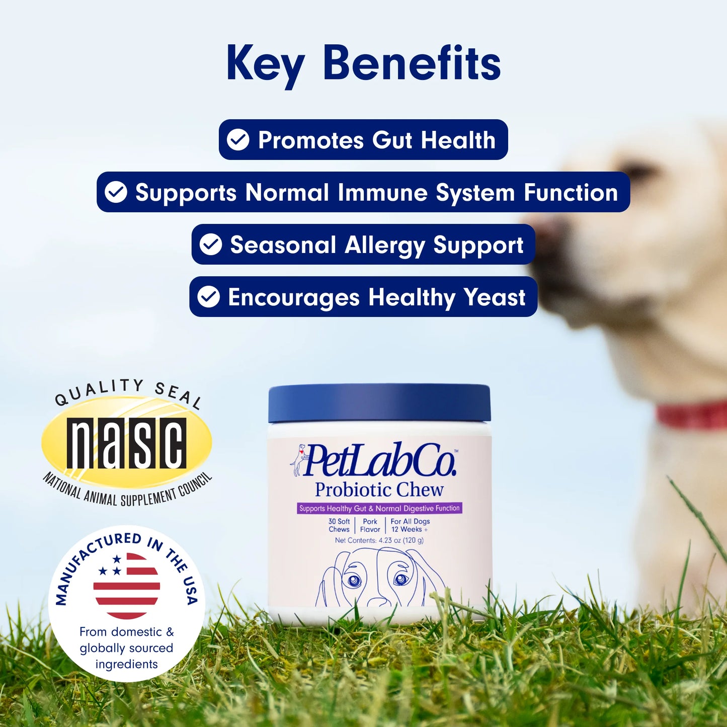 Co. Probiotic Chews, Delicious Soft Chew Probiotics for Dogs, 30 Ct.