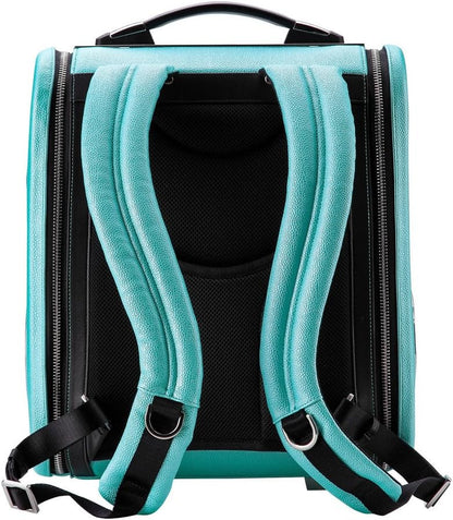 C0103 Innovative Fashion Bubble Pet Travel Carrier Backpack for Cats Dogs Puppy, Blue
