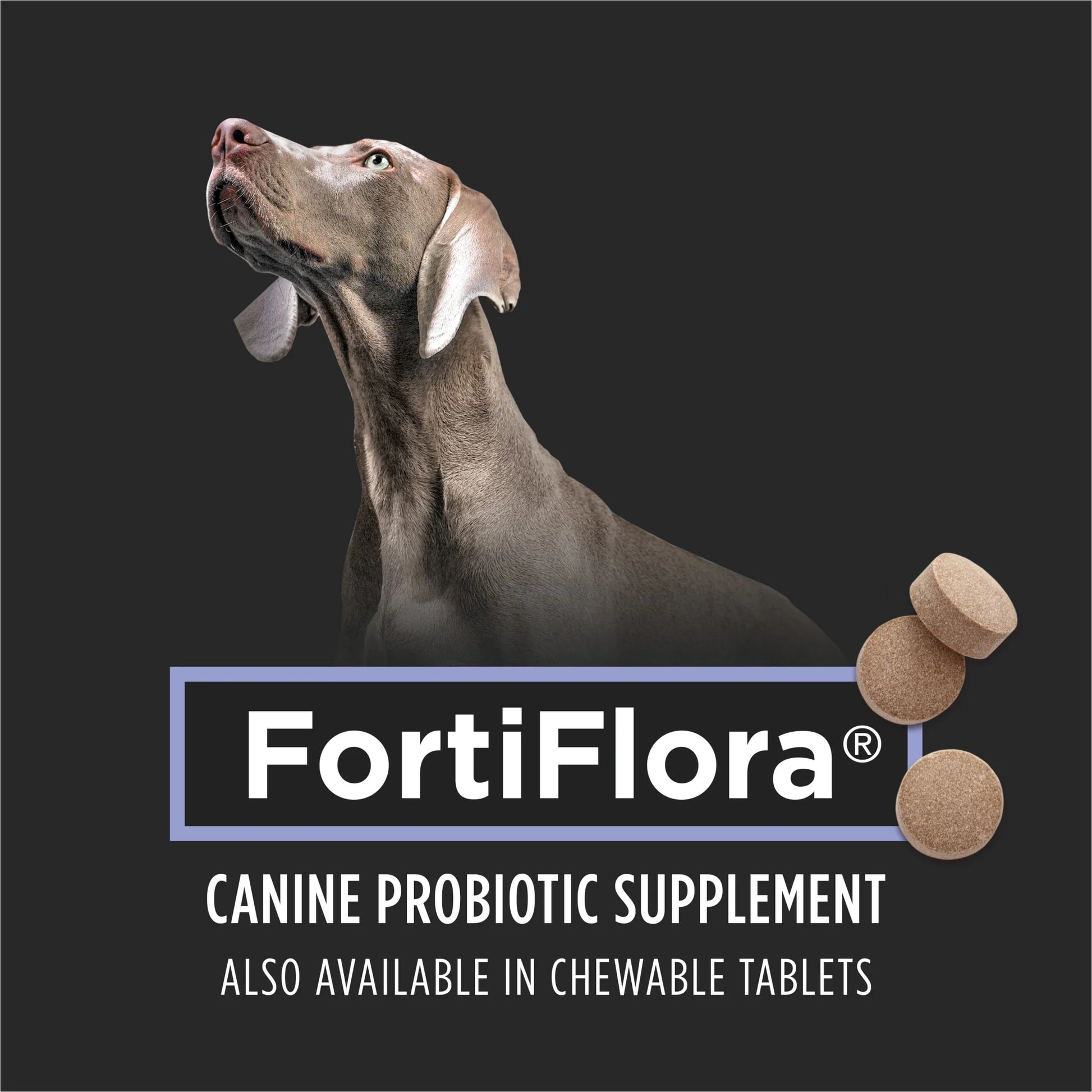 Veterinary Supplements Fortiflora Dog Probiotic Supplement, Canine Nutritional Supplement