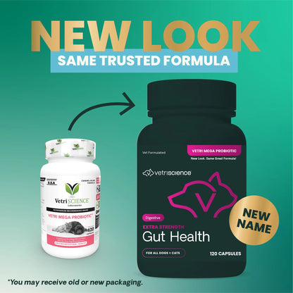 Gut Health Extra Strength Probiotic Capsules for Dog & Cat, Unflavored 120 Count Bottle