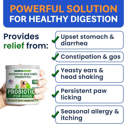 Probiotics for Dogs & Digestive Enzymes (Gut Health) Allergy & Itchy Skin - Pet Diarrhea Gas Treatment Upset Stomach Relief Pill, Digestion Health Prebiotic Supplement (120 Count, Bacon)