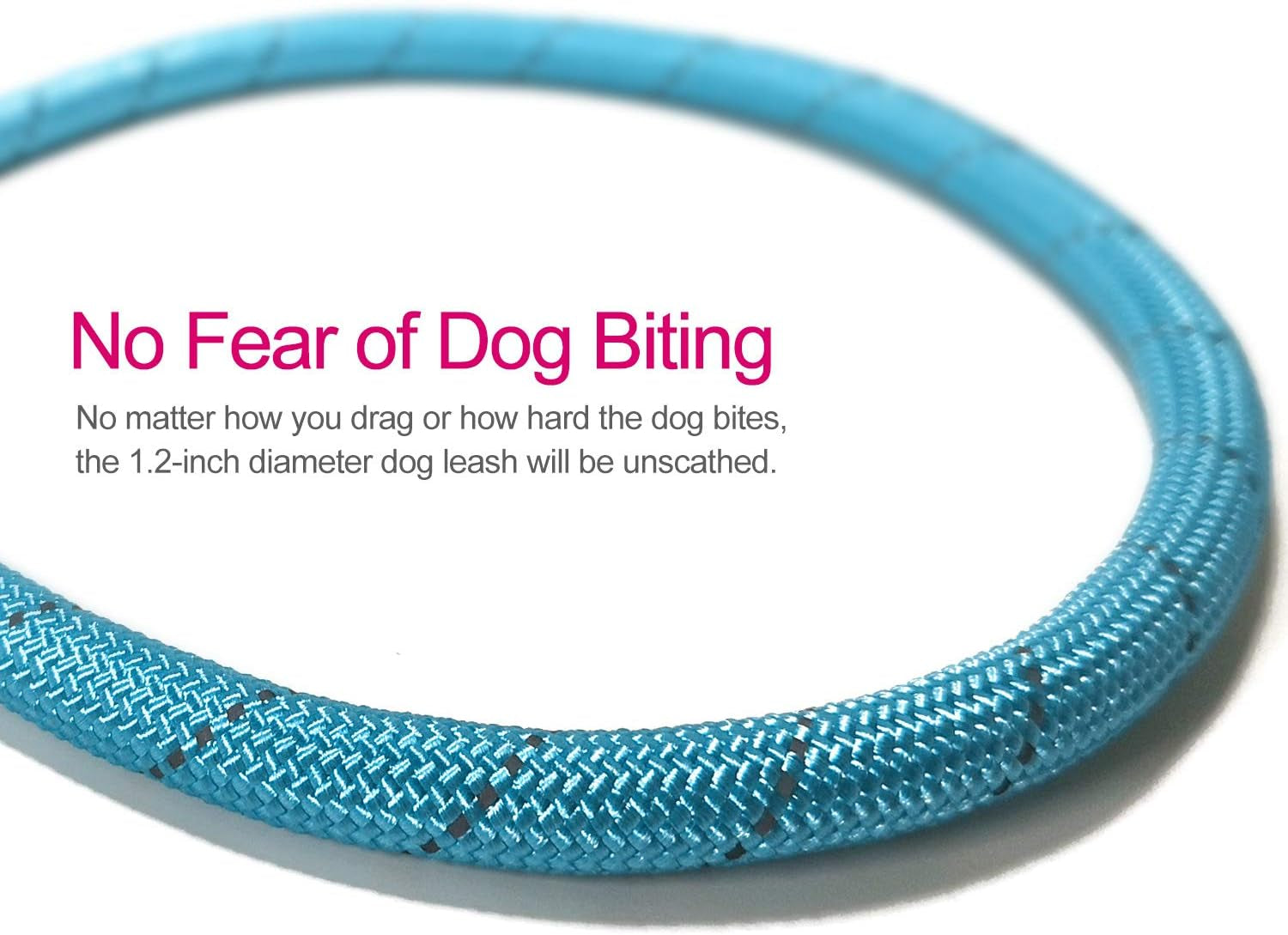 10 FT Strong Dog Leash Extra Heavy Duty Rock Climbing Rope Comfortable Padded Handle Highly Reflective Threads for Small Medium Large Dogs, 1/2 Inch Diameter (Blue)