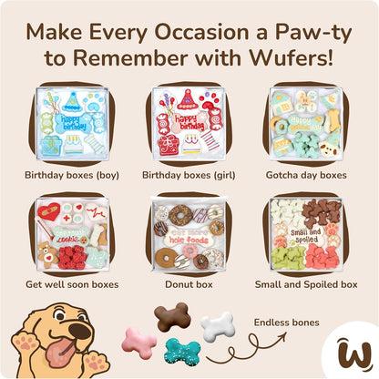 Wufers Dog Birthday Cookie Box - Dog Cookies, Human Grade Ingredients, Cute Hand Decorated and Gentle for Tummies of All Breed Sizes - 9 Cookies, Birthday Girl