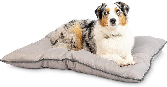 Super Snoozer Calming Indoor / Outdoor All Season Water Resistant Durable Dog Bed, Cloud, Large (2220)