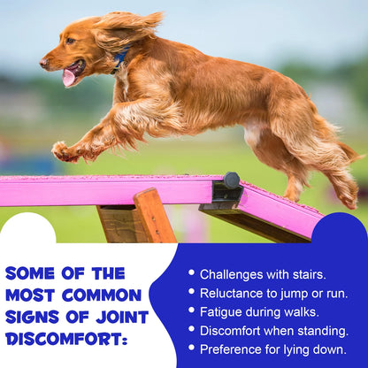 Hip & Joint Chewable Tablets for Dog, Health Supplement with Chondroitin for Dogs Mobility Support & Dog, 180P*2 Chewable Supplement for Dogs Joint Health