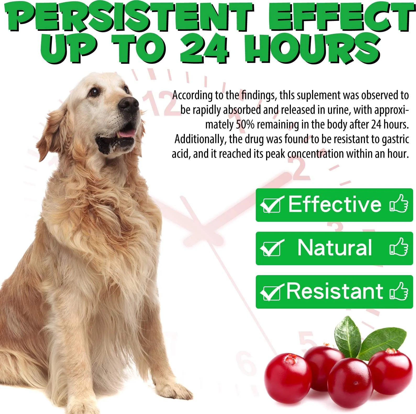 Urinary Tract Infection Drops for Dog | Natural Cranberry, Kidney + Bladder Support Supplement Dog Renal Health & Care (2 Fl Oz) - 1Pack