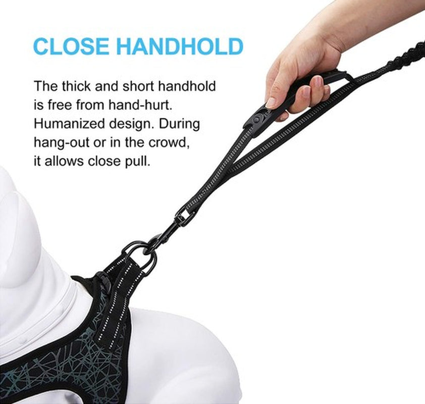 6FT Highly Reflective Heavy Duty Elastic Bungee Medium and Large Dog Leash Sh...