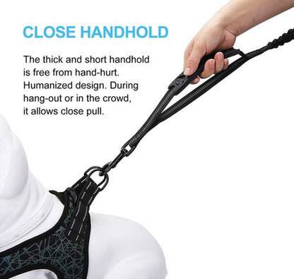 6FT Highly Reflective Heavy Duty Elastic Bungee Medium and Large Dog Leash Sh...