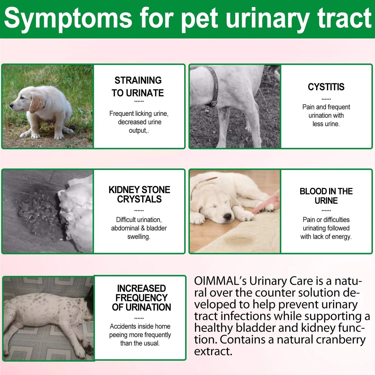Urinary Tract Infection Drops for Dog | Natural Cranberry, Kidney + Bladder Support Supplement Dog Renal Health & Care (2 Fl Oz) - 1Pack