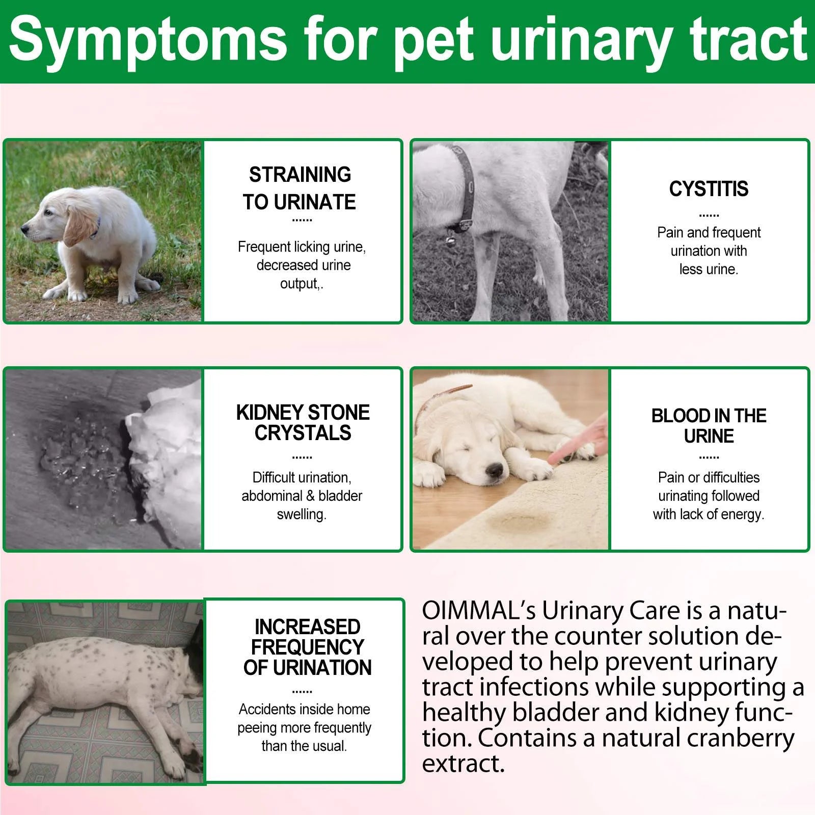 Urinary Tract Infection Drops for Dog | Natural Cranberry, Kidney + Bladder Support Supplement Dog Renal Health & Care (2 Fl Oz) - 1Pack