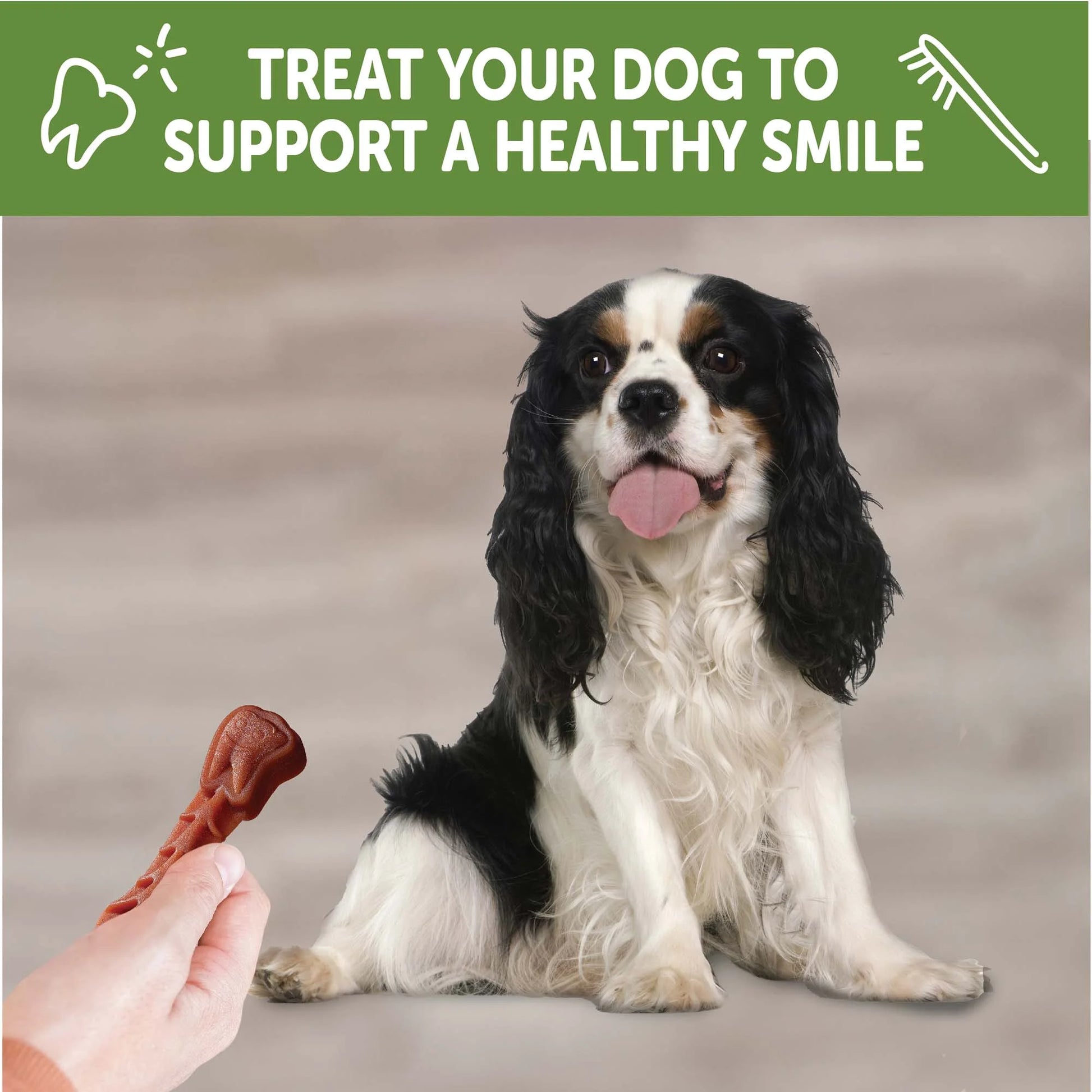 Wellness  Daily Brushzees Dog Dental Treats, Natural Chews, Small Size Stick, (14 Count)