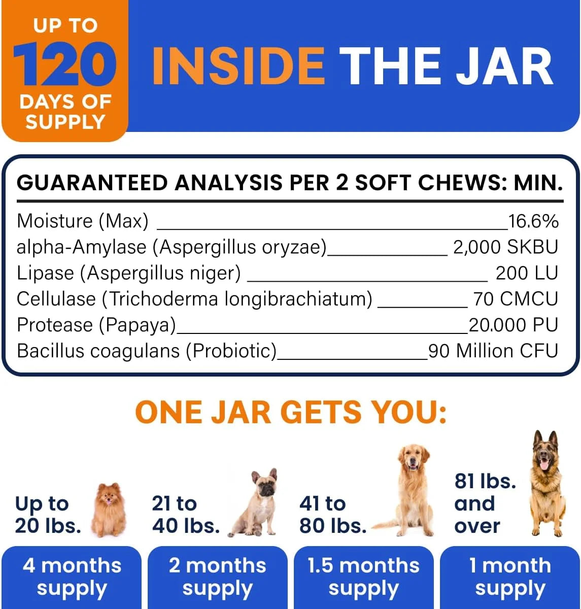 Probiotics for Dogs & Digestive Enzymes (Gut Health) Allergy & Itchy Skin - Pet Diarrhea Gas Treatment Upset Stomach Relief Pill, Digestion Health Prebiotic Supplement (120 Count, Bacon)