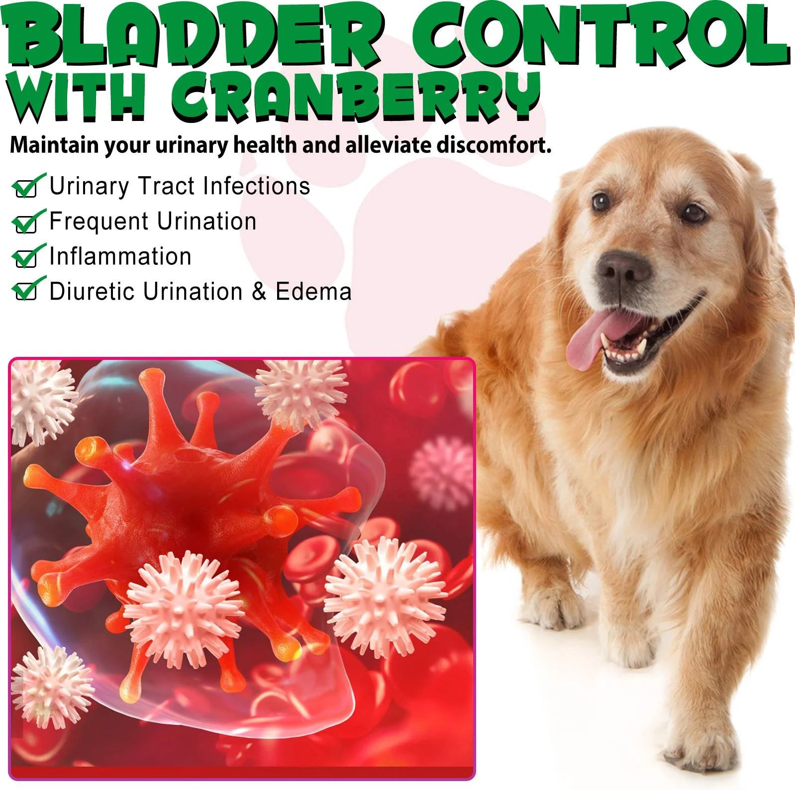 Urinary Tract Infection Drops for Dog | Natural Cranberry, Kidney + Bladder Support Supplement Dog Renal Health & Care (2 Fl Oz) - 1Pack