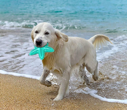Dog Toys for Aggressive Chewers, Dog Teething Cleaning Toothbrush Toy, Durable Squeaky Interactive Starfish Puppy Toys for Small Medium Large Breed
