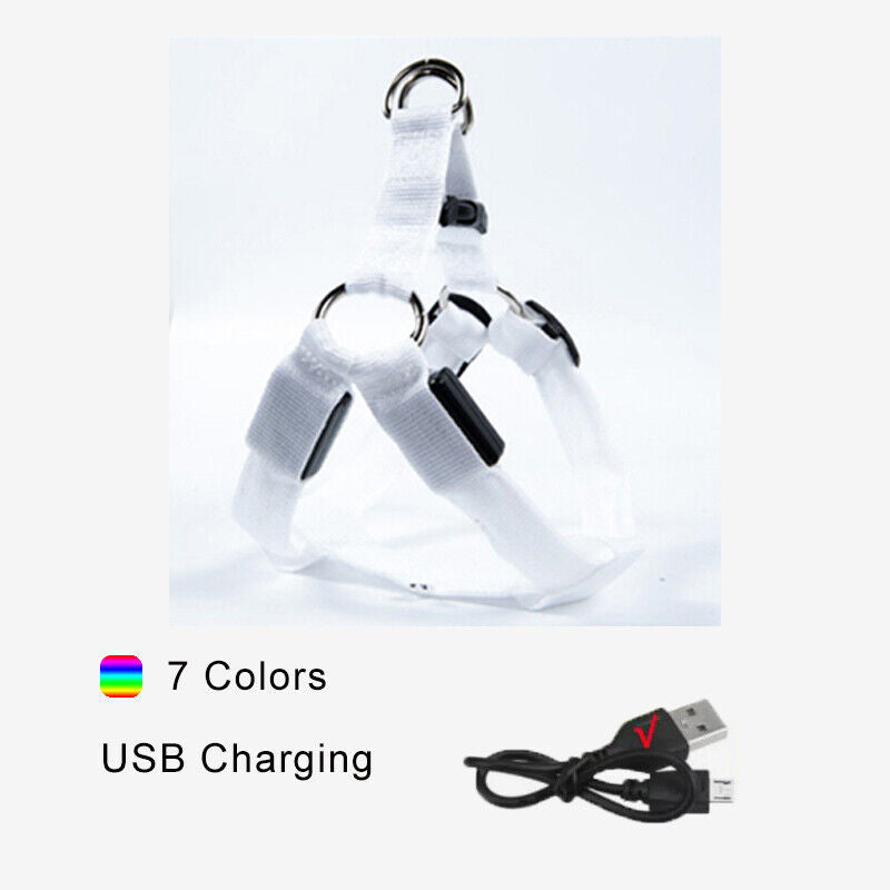 USB RECHARGEABLE Led Dog HARNESS ( Glow Flashing Light-Up Night Safety)
