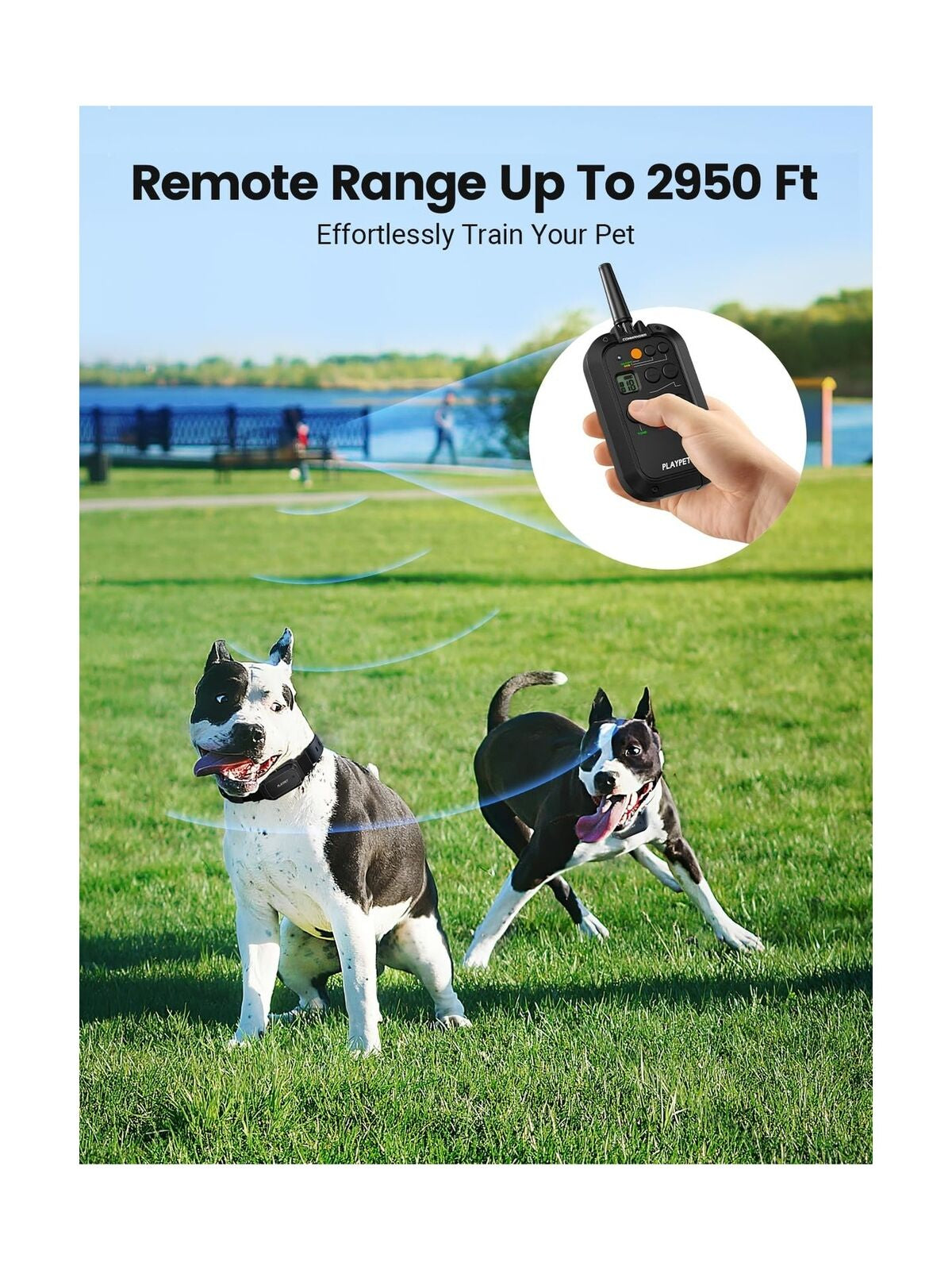 PLAYPET Dog Training Collar, 2950FT Remote Dog Shock Collar for Small Medium ...