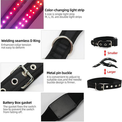 Gift for Pets, LED Light up Dog Collars, Rechargeable Lighted Dog Collar with USB Charging Cable, Glow in the Dark Dogs Collars for Night Walking & Running, Christmas Gift