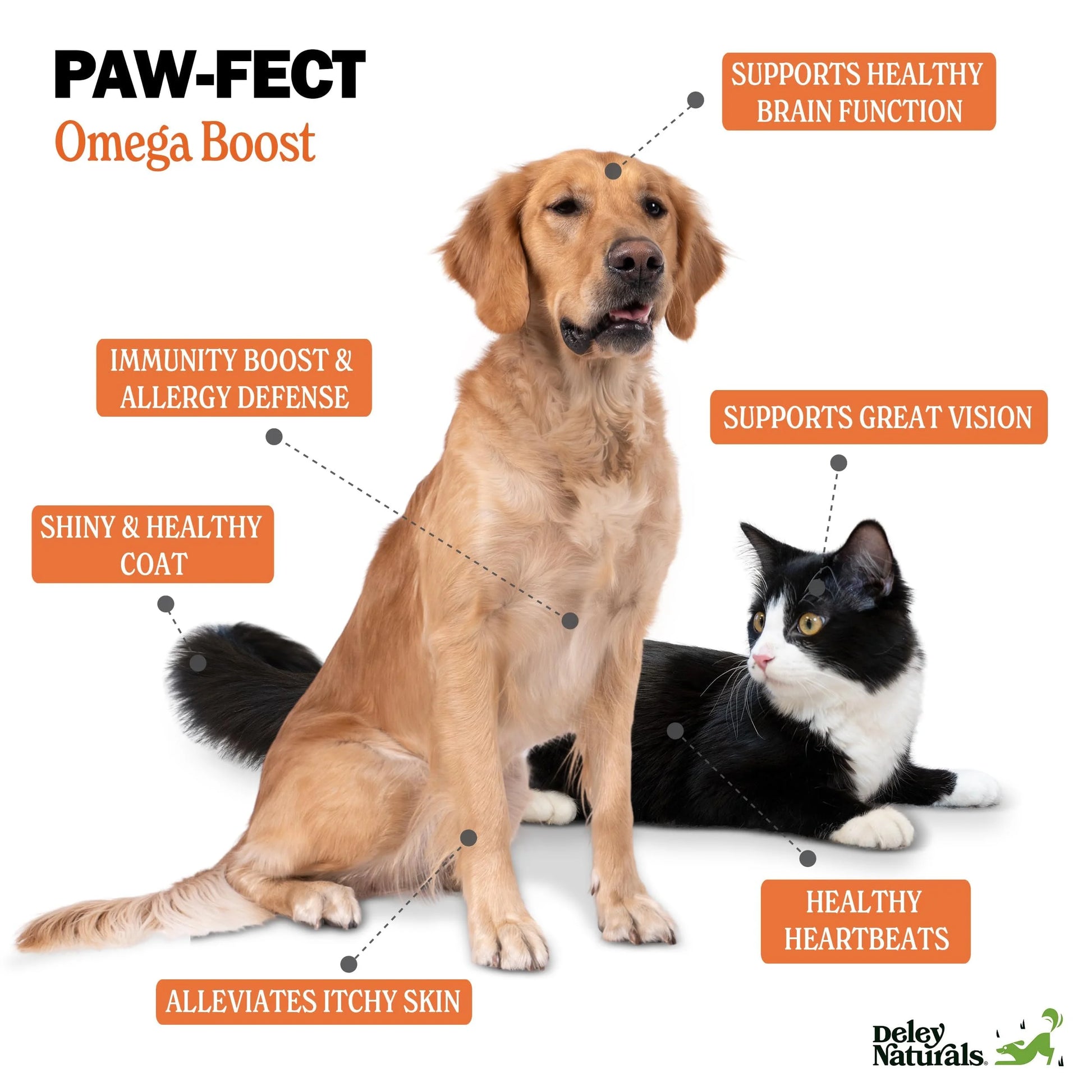 Alaskan Wild Caught Salmon Oil for Dogs & Cats plus Formula