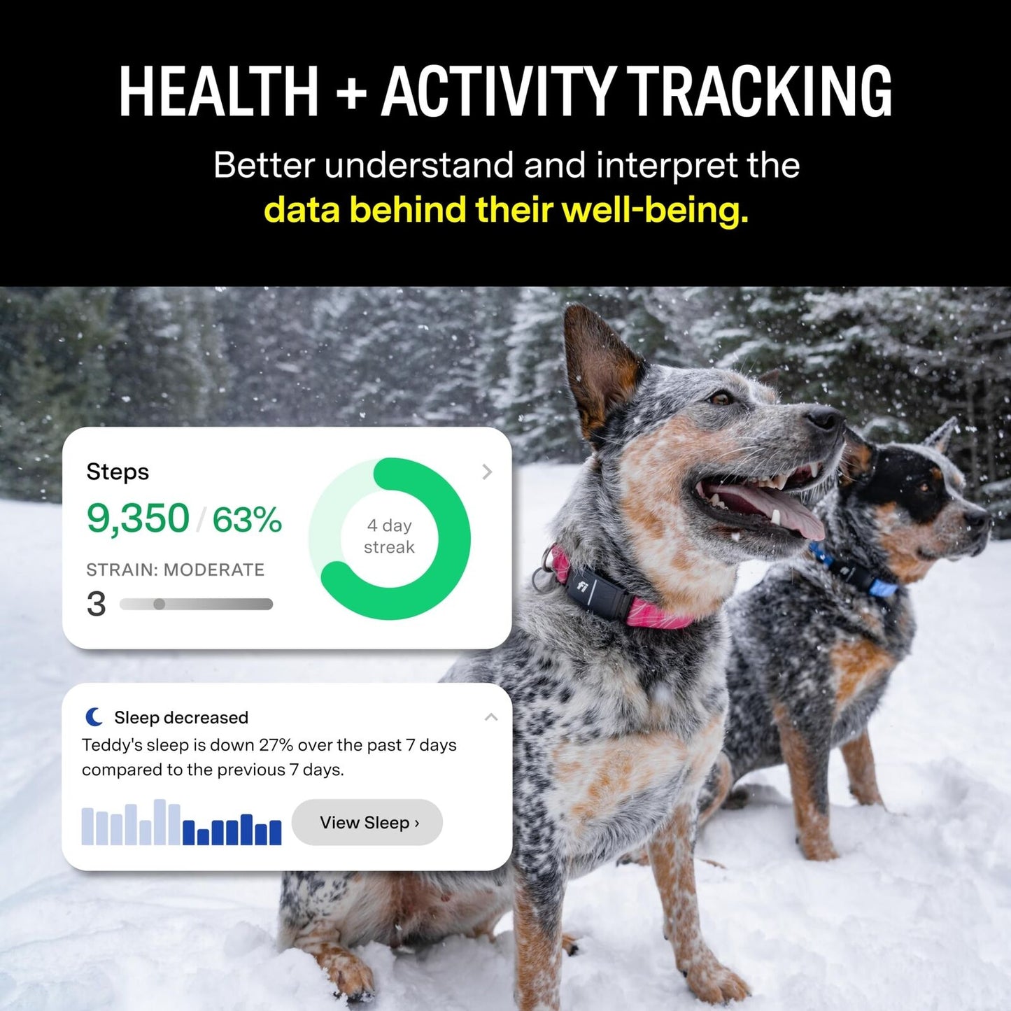 Fi Series 3 Smart Dog Collar - GPS Dog Tracker and Activity & Fitness Monitor...