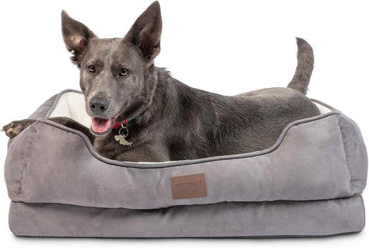 Premium Orthopedic Lounger Dog Bed Sofa Style Couch Removable Washable Cover Joint Arthritis Relief Bolster Headrest Pet Bed for Small Dogs Medium Large Breed Dogs, Cream (8730)