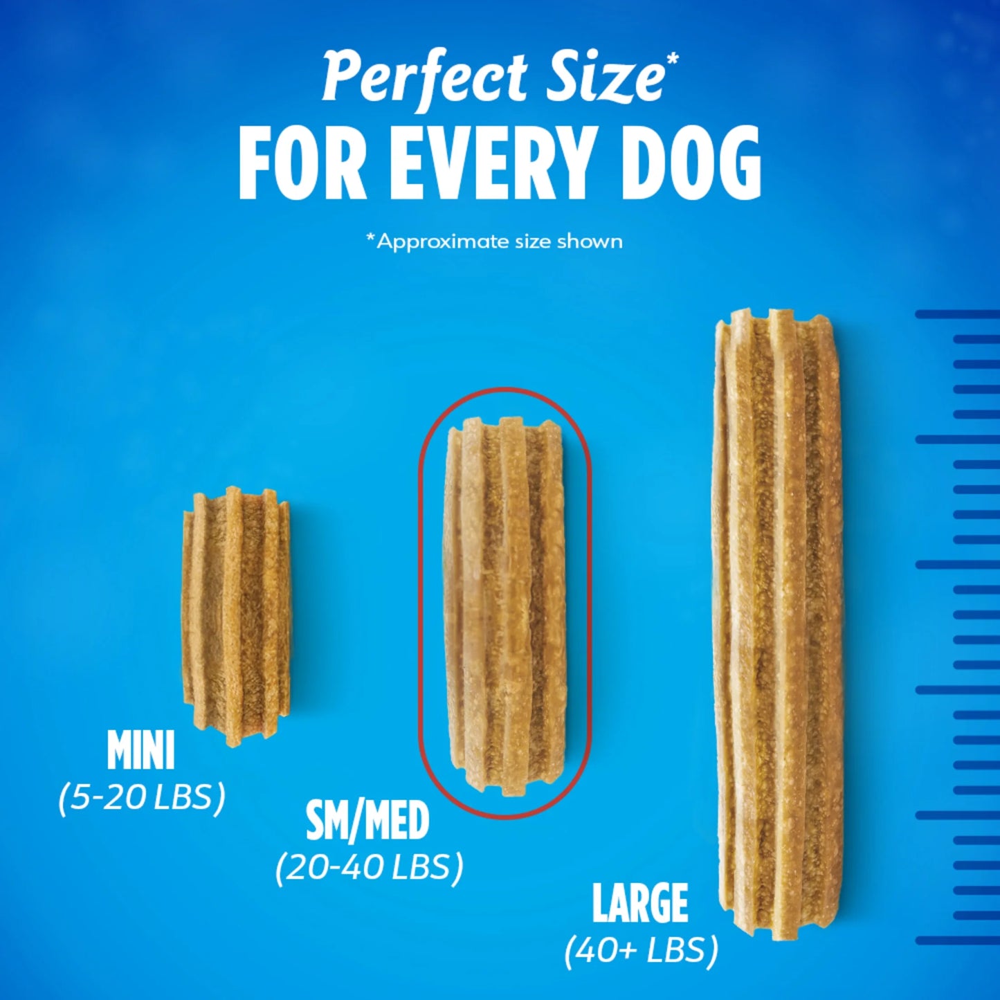 Purina  Daily Oral Care Chicken Flavor Small/Medium Breed Dog Dental Chews – 28.5 Oz Pouch (40Ct)