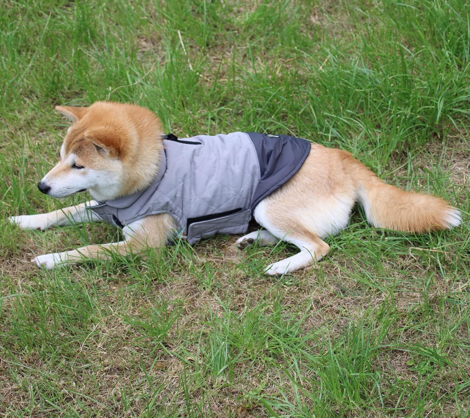Reversible Dog Coats for Small Dogs Waterproof Warm Dog Jacket for Cold Winter,Grey M
