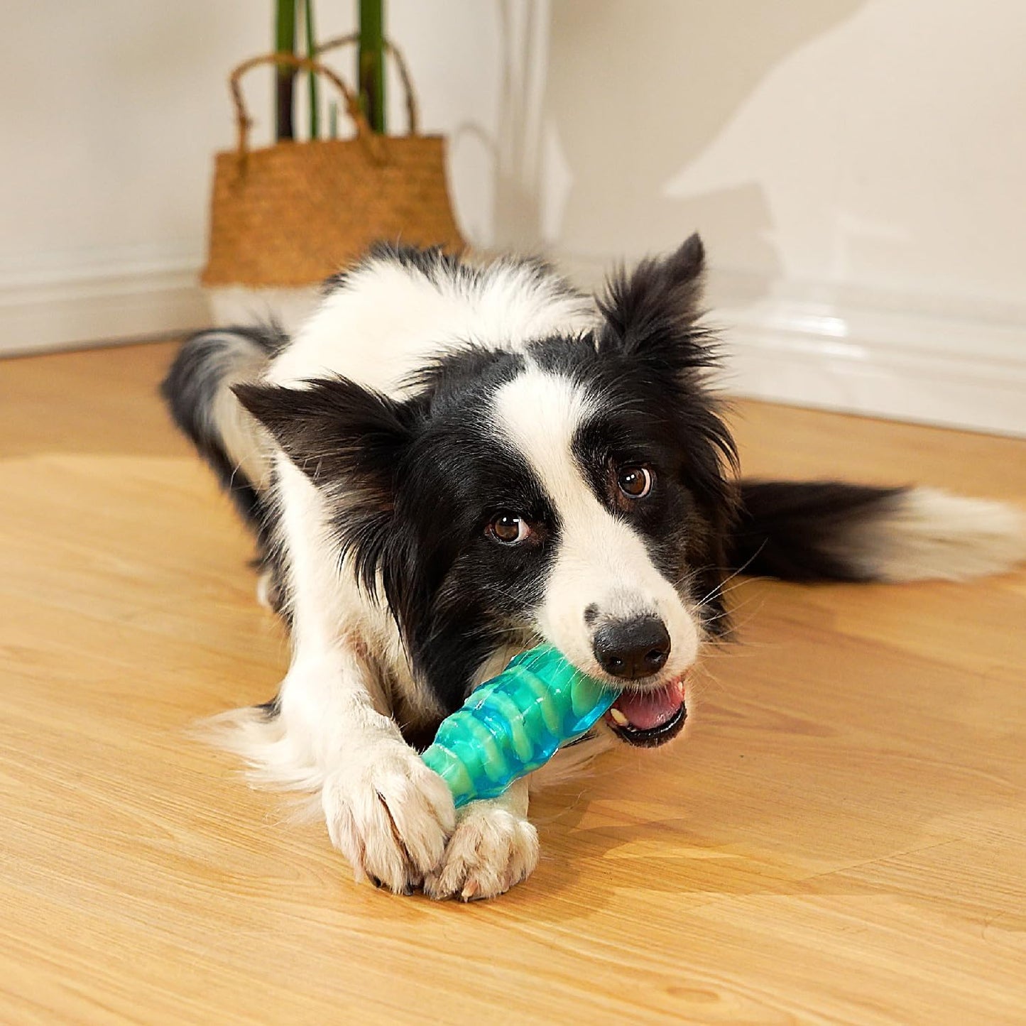 Dog Chew Toys for Aggressive Chewers, Tough Dog Toy for Medium and Large Breeds, Indestructible Dog Toys, Durable Dog Toy, Bone Nylon Toy