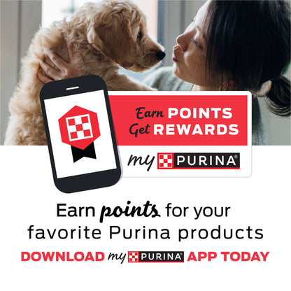 Purina  Daily Oral Care Chicken Flavor Small/Medium Breed Dog Dental Chews – 28.5 Oz Pouch (40Ct)